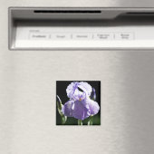 Lila Iris 8393 Magnet (In Situ (Geschirrspüler))
