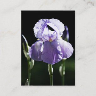 Lila Iris 8393 Mini Print Visitenkarte