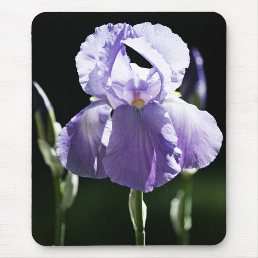 Lila Iris 8393 Mousepad (Vorne)