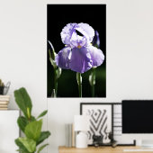 Lila Iris 8393 Print Poster (Heimbüro)