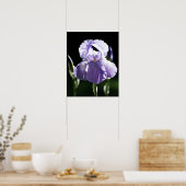 Lila Iris 8393 Print Poster (Küche)