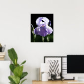 Lila Iris 8393 Print Poster (Heimbüro)