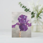 Lila Iris Art Postkarte (Stehend Vorderseite)