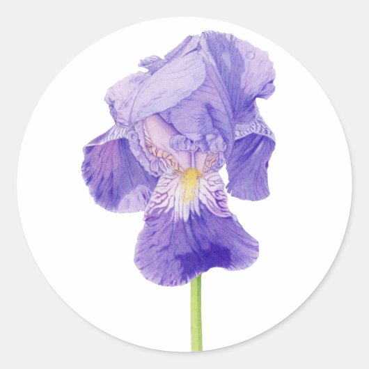 Lila Iris-Aufkleber Runder Aufkleber (Vorderseite)