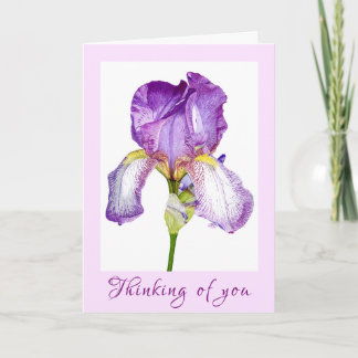 Lila Iris Beileid Faltkarte Karte