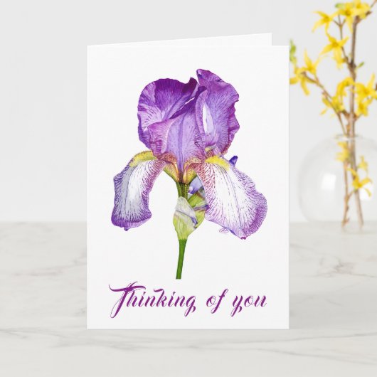 Lila Iris Beileid Faltkarte Karte (Gelbe Blume)