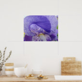 Lila Iris Blume Art Poster Blumendrucke (Küche)