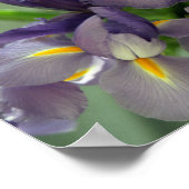 Lila Iris Blume Art Print Poster (Ecke)