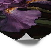 Lila Iris Blume Art Print Poster (Ecke)