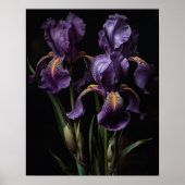 Lila Iris Blume Art Print Poster (Vorne)