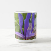 Lila Iris Blume Außenbereich Garten Natur Foto Kaffeetasse (Mittel)