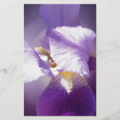 lila Iris-Blume Briefpapier (Vorderseite)