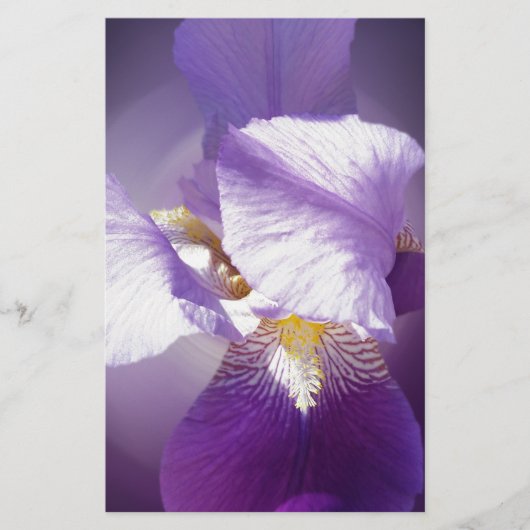 lila Iris-Blume Briefpapier (Vorderseite)