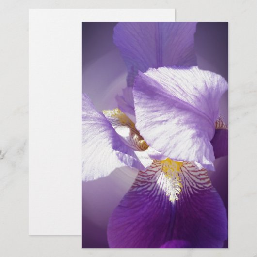 lila Iris-Blume Briefpapier (Vorne/Hinten)