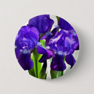 Lila Iris-Blume Button