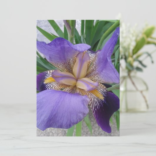 Lila Iris-Blume-Flachkarte (Stehend Vorderseite)