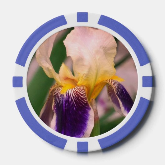 Lila Iris Blume Foto Clay Poker Chips (Vorderseite)