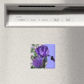 Lila Iris Blume Foto Magnet (In Situ (Geschirrspüler))