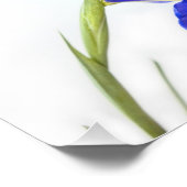 Lila Iris-Blume Fotodruck (Ecke)