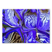 Lila Iris-Blume Fotodruck (Vorne)