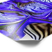 Lila Iris-Blume Fotodruck (Ecke)