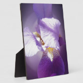lila Iris-Blume Fotoplatte (Seite)