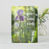 Lila Iris Blume Grüne Frühjahrssonne Einladung (Stehend Vorderseite)