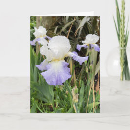 Lila Iris-Blume-Karte Karte