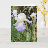 Lila Iris-Blume-Karte Karte (Gelbe Blume)