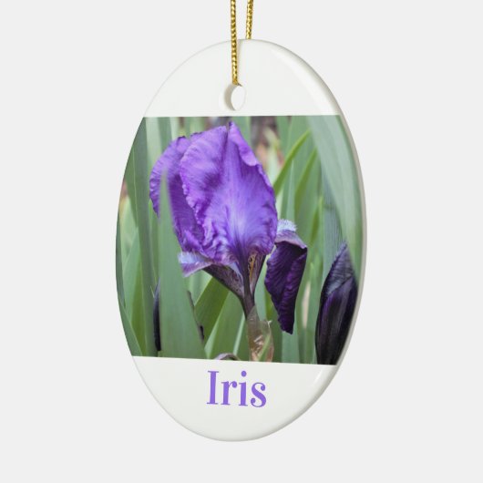 Lila Iris-Blume Keramik Ornament (Links)
