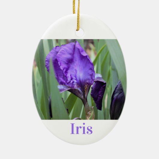 Lila Iris-Blume Keramik Ornament (Hinten)
