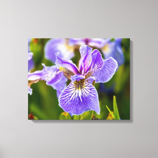 Lila Iris-Blume Leinwanddruck (Vorderseite)