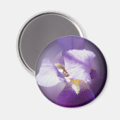 lila Iris-Blume Magnet (Vorderseite/Rückseite)