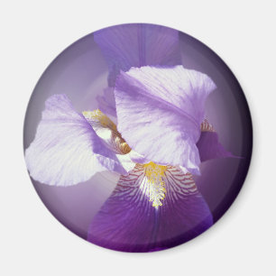 lila Iris-Blume Magnet