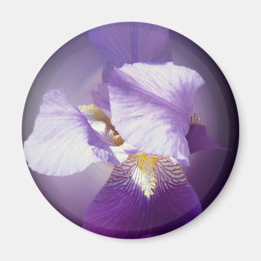 lila Iris-Blume Magnet (Vorne)