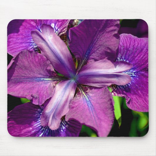 Lila Iris-Blume Mousepad (Vorne)