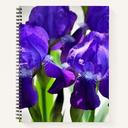 Lila Iris-Blume Notizblock (Vorderseite)