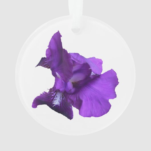Lila Iris-Blume Ornament (Rückseite)