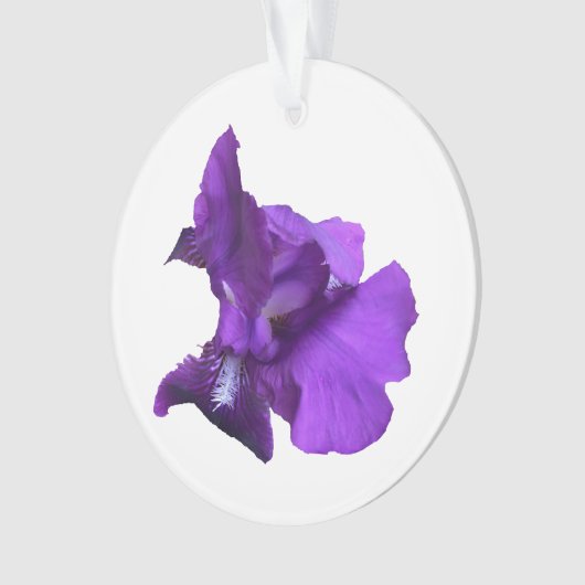 Lila Iris-Blume Ornament (Vorderseite)