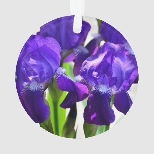 Lila Iris-Blume Ornament (Rückseite)