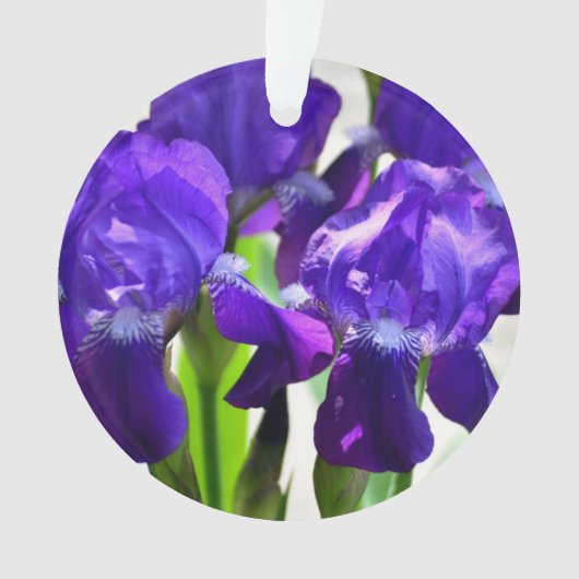 Lila Iris-Blume Ornament (Vorderseite)