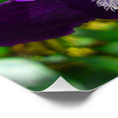 Lila Iris Blume Perfektes Poster (Ecke)