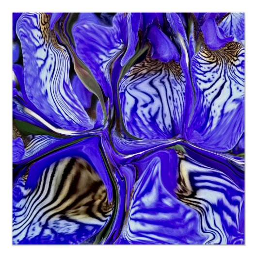 Lila Iris-Blume Poster (Vorderseite)