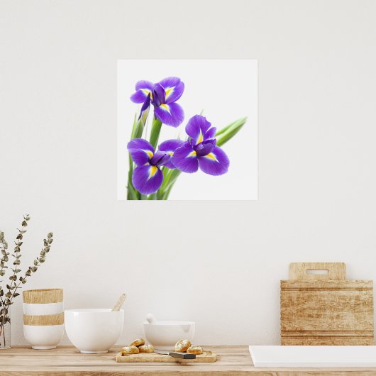 lila Iris-Blume Poster (Küche)