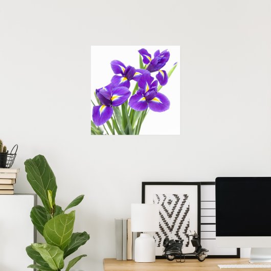 lila Iris-Blume Poster (Heimbüro)