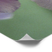 Lila Iris Blume Poster Art drucken (Ecke)
