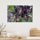 Lila Iris Blume Poster Art drucken (Küche)