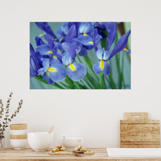 Lila Iris Blume Poster Art drucken (Küche)