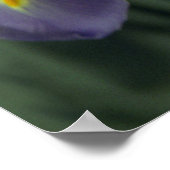 Lila Iris Blume Poster Art drucken (Ecke)
