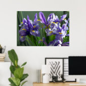 Lila Iris Blume Poster Art drucken (Heimbüro)
